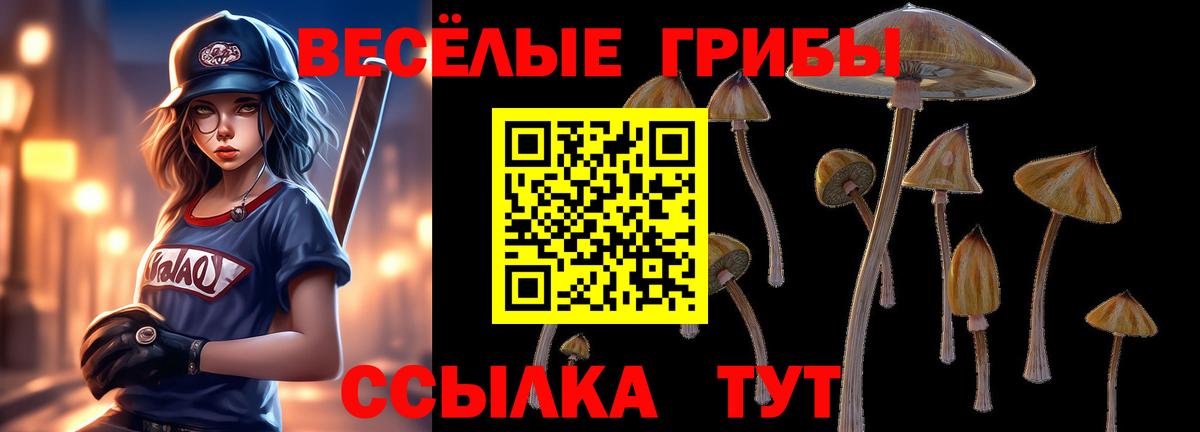 Галлюциногенные грибы MAGIC MUSHROOMS Балабаново